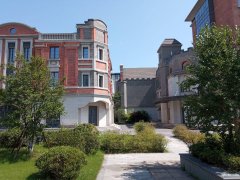 市中心全新優(yōu)質(zhì)廠房出租，面積1000-24000平