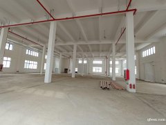 全新獨(dú)棟廠房，每棟3500平，共4棟，層高8米，5噸貨梯