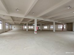 全新獨(dú)棟廠房，每棟3500平，共4棟，層高8米，5噸貨梯