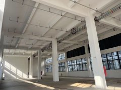 單層雙層三層廠房面積1000-18000平可定制
